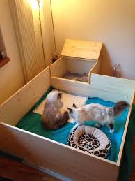 A Whelping Box For Cats Great Idea To Build One Like This Dog Whelping Box Whelping Box Cat Birth