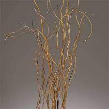 Natural Curly Willow Branches 3 4 Feet 144 Branches