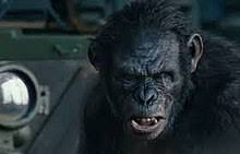 Humans leo davidson guile hero: Koba Planet Of The Apes Wikipedia