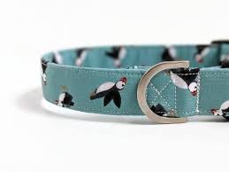 That's why we have rounded up only the best dog collars available on the market. Uk Based Shop A Beautiful Puffin Print Dog Collar For The Dog Wanting To Make A Statement Your Best Friend Girl Dog Collars Girl And Dog Dog Collar Boy