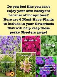 Tips To Build Quick Muscle Mass Plants Lawn And Garden Garden