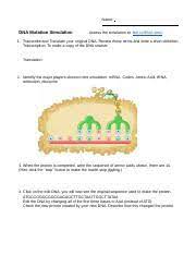 Dna mutation simulation worksheet answer key. Dna Mutation Simulation Worksheet 1 Pdf Name Dna Mutation Simulation Access The Simulation At U200b Biol Co Dna Sim1 U200b 1 Transcribe And Translate Course Hero