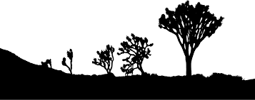 Completely free svg files for cricut, silhouette, sizzix and many other svg compatible electronic cutting machines. Plant Flora Silhouette Png Clipart Royalty Free Svg Png