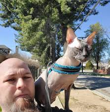 Heyy i'm having an issue here..i'm 94 days in and i'm trying to get  maphisto within day 100 or less.. i just got to mythic node 1 .. my apoc  doesn't have