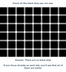 Image result for illusion pictures