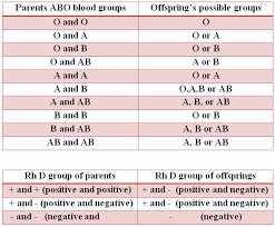 Blood Group Chart Parents Bedowntowndaytona Com