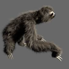 Sloth 3d Model Sloth Sloth Stuffed Animal 3d Model