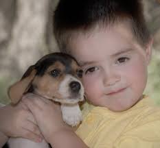 Larry Boddy Photography