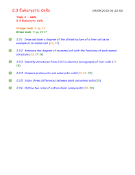 Eukaryotic plant and animal cell differences. 2 3 Eukaryotic Cells