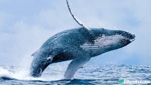 How can i convert bitcoin to naira / problem with bitcoin to naira exchange on luno aka bitx, what is the way forward the advantage here is also laid on the principle stating 'as one bitcoin is created the computations needed to create more become complex hence exponentially difficult.'. Bitcoin Dump Saw Exchange Inflow Jump Over 1 000 Whale Address Sells 2 700 Coins F2pool Hawks 3 633 Btc Markets And Prices Bitcoin News