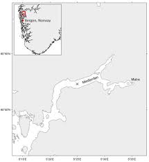 Welcome to the masfjorden google satellite map! The Study Area Masfjorden Is North Of Bergen Norway The X Denotes Download Scientific Diagram