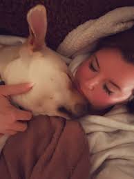 Friends of Stark Pound (Stark County, Ohio)