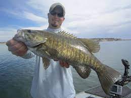 Top Colorado Fishing Locations Guide Pueblo Fishing Sport Fish Colorado