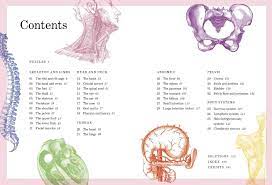 Grey's anatomy set of 4: Amazon Com Gray S Anatomy Puzzle Book Think You Know Your Cranium From Your Clavicle Tibia From Your Trachea Think Again 9780711254411 Moore Dr Gareth Finn Gabrielle M Books