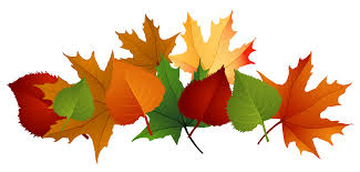 Image result for fall leaves