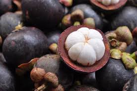 Rains may fall but they are fast and occasional and never last longer than half of an hour. Mangosteen Season In Sri Lanka 2021 Rove Me