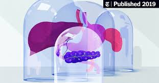 It makes digestive enzymes (proteins that break down food) and most pancreatic cancers occur in the part of the pancreas that produces digestive fluids. Why Can T We Stop Pancreatic Cancer The New York Times