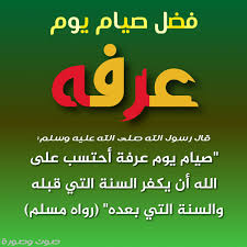 زكاة الأنعام قطيع من الإبل. Pin On ØµÙˆØª ÙˆØµÙˆØ±Ø© Hd