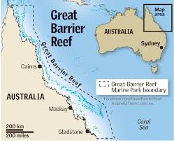The great barrier reef off australia's northeastern coast is the world's largest coral reef ecosystem. Great Barrier Reef Fotos Facebook