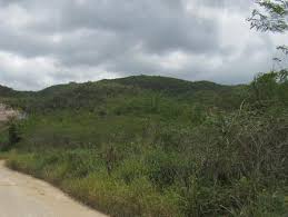 Land for sale in kingston and st andrew jamaica. Land S For Sale In Forest Hills Plantation Height St Andrew Jamaica