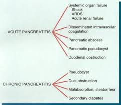 Pathology Chapter 17 And 19 Images Flash Cards By Cueflash Nursing School Tips Nursing Study Nursing School