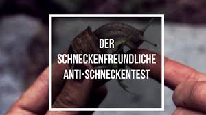 Pin Auf Tiere Im Garten
