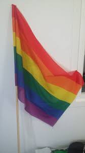 Los diferentes colores simbolizan la diversidad en la comunidad lgbt y sus colores son utilizados a menudo en marchas por reclamos. Gay Pride Flag Available To Buy Flagsok Com