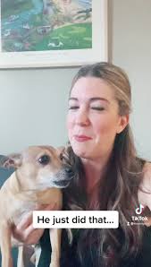 😂🤦🏻‍♀️🤦🏻‍♀️😂