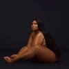 For lizzo, it seems effortless — but it's not. Https Encrypted Tbn0 Gstatic Com Images Q Tbn And9gcq7la9mu02jsqwr18dlykpy6vq 45yzrgmuqinazjesytf Yjdf Usqp Cau
