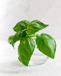 The leaves give off a sweet anise scent that has olfactory echoes of the italian green basil called napoletano, which i suspect is. How To Grow Basil How To Recipes A Couple Cooks