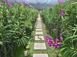 If you're looking for pest control contractors that serve a different city in massachusetts, here are. Greenhouse Flooring Ideas What To Use For Greenhouse Floors