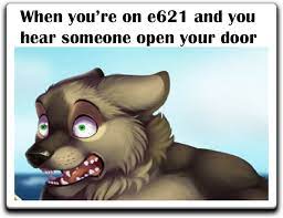 Pin By Theshootingleafdragon On Furry Meme Furry Meme Furry Comic Furry Fan