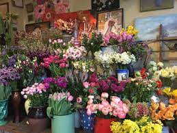 West Hampstead Life An Insight Into Achillea Flowers