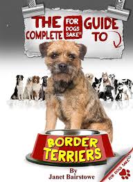 Image result for border teriér