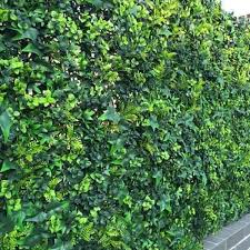 Tangent™ manufactures lumber alternative products with leading quality standards. Artificial Multi Leaf Ivy Bush Hedge Screening Tile 50cm X 50cm Instant Green Direct
