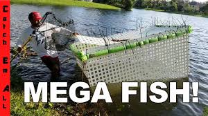 Right after they make a sandwich or play some video games. Mega Fish Cage Back Into The Pond Youtube