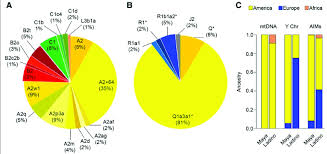 distribution of native american haplogroup frequencies and