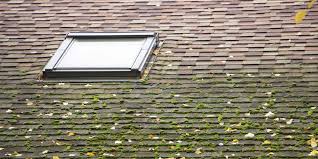 This energy efficient tube skylight or tubular skylight provides bright, clean, pure light to any bathroom, hallway, kitchen, every room in your home! Skylight Leak Repair Contractor Sfw Construction