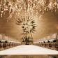 Vintner's Luncheon at HALL Rutherford