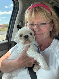 5 months female puppy for your consideration