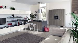 sleek modern kitchen looks like a posh