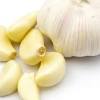 Obat herbal penyakit sipilis yang dapat diberikan kepada orang yang menderita penyakit sipilis di antaranya adalah daun contoh : Https Encrypted Tbn0 Gstatic Com Images Q Tbn And9gctkyep68bdrsduqvdd0yrhpobxrkkbodvsq17r4c7tvc 67kimc Usqp Cau