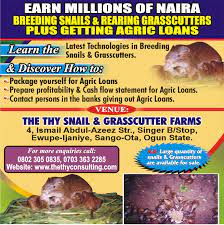 Grasscutter Farming Feed Management