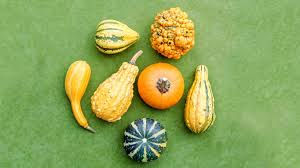 How many varieties of squash do you know? 8 Delicious Types Of Squash