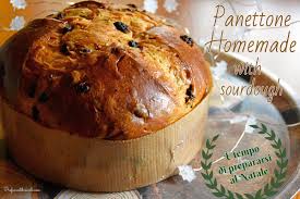 La ricetta del panettone tradizionale. Panettone Tradizionale Ricetta Con Uvetta Profumo Di Broccoli