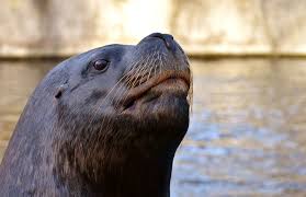 Sous le coup de la surprise, il recula d'un pas incertain alors qu'un mouvement de panique. Comment Faire Une Solution Saline Maison En 2 Minutes Pour Laver Le Nez Ecolozen