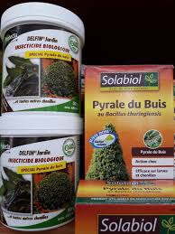 We did not find results for: Traitements Pyrale Du Buis Le Jardin D Heloise