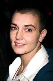 In a message on twitter, she thanked fellow muslims for their support. Abrasierte Haare Kahlrasierte Kopfe Stars Mit Glatze Brigitte De