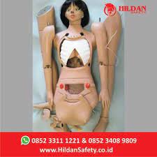 Maybe you would like to learn more about one of these? Jual Boneka Phantom Alat Peraga Multifungsi Apm 01 Hildan Safety Full Body Pt Hildan Fathoni Indonesia Malang Jawa Timur Indotrading