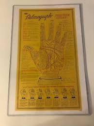 Details About The Palmograph Fortune Chart Fortune Teller 11x17 Laminated Nice